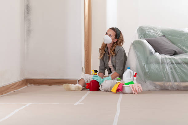 Reliable Mold Remediation contractor in Catonsville, MD by WQB Mold Removal